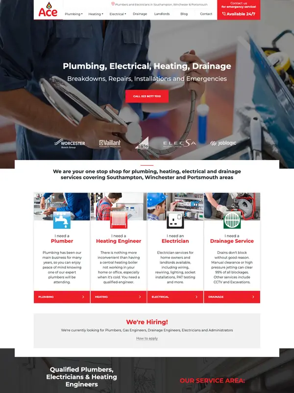 Screenshot of the Ace website